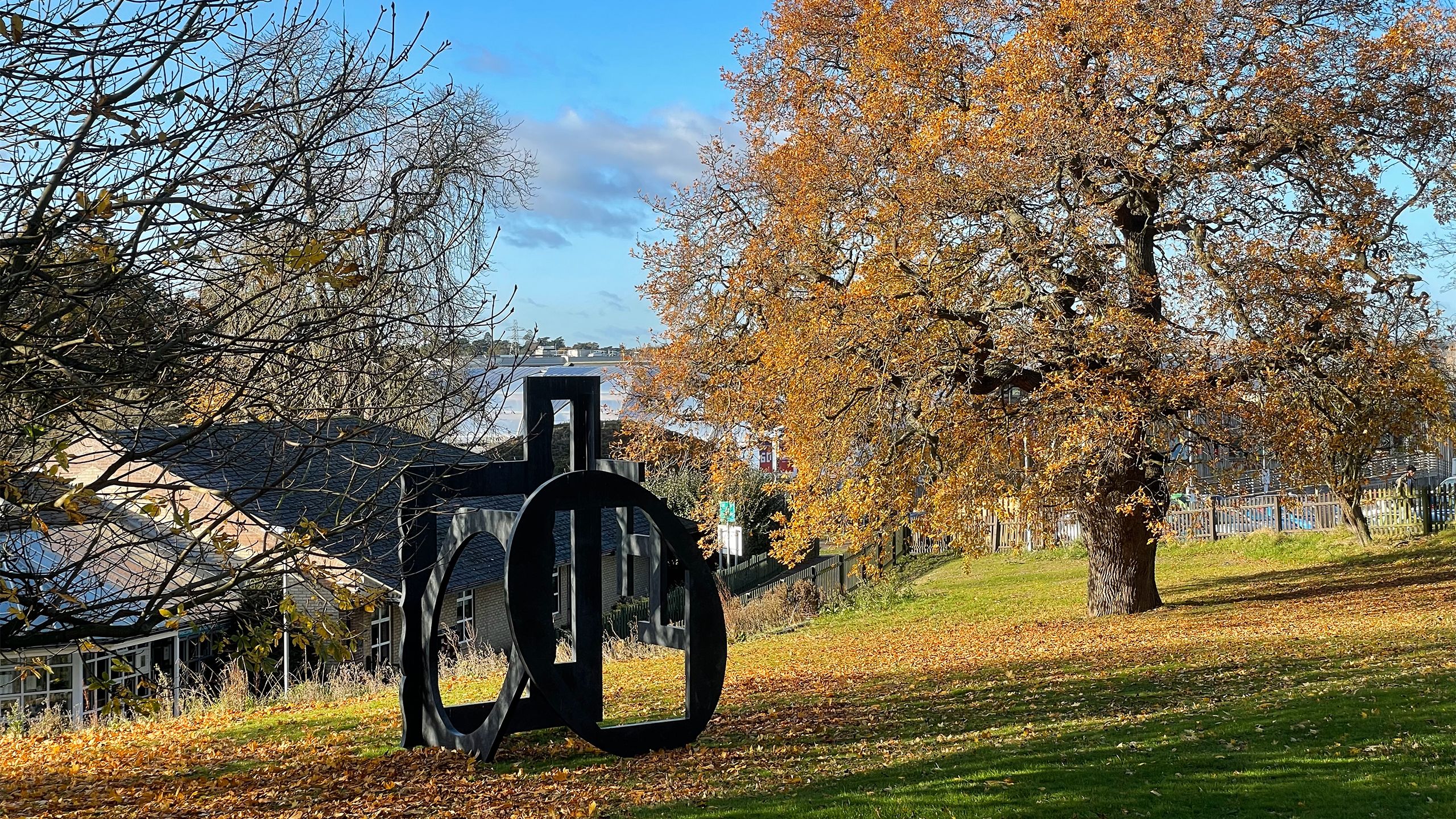 Views of the Interior, a metal sculpture of rectangular and oval windows, sits among autumn leaves in Wivenhoe Park.