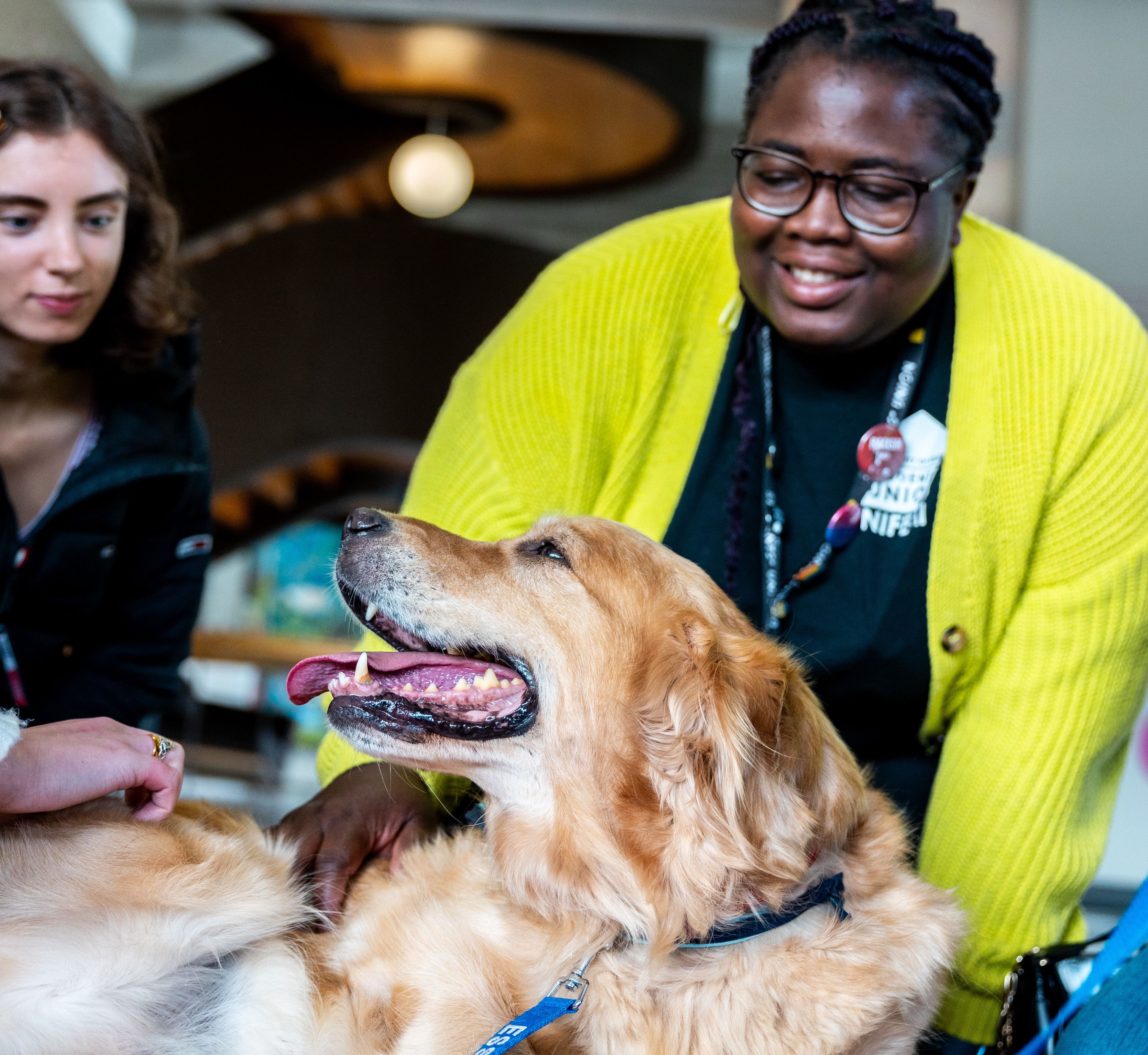 Collection being gathered for a foodbank