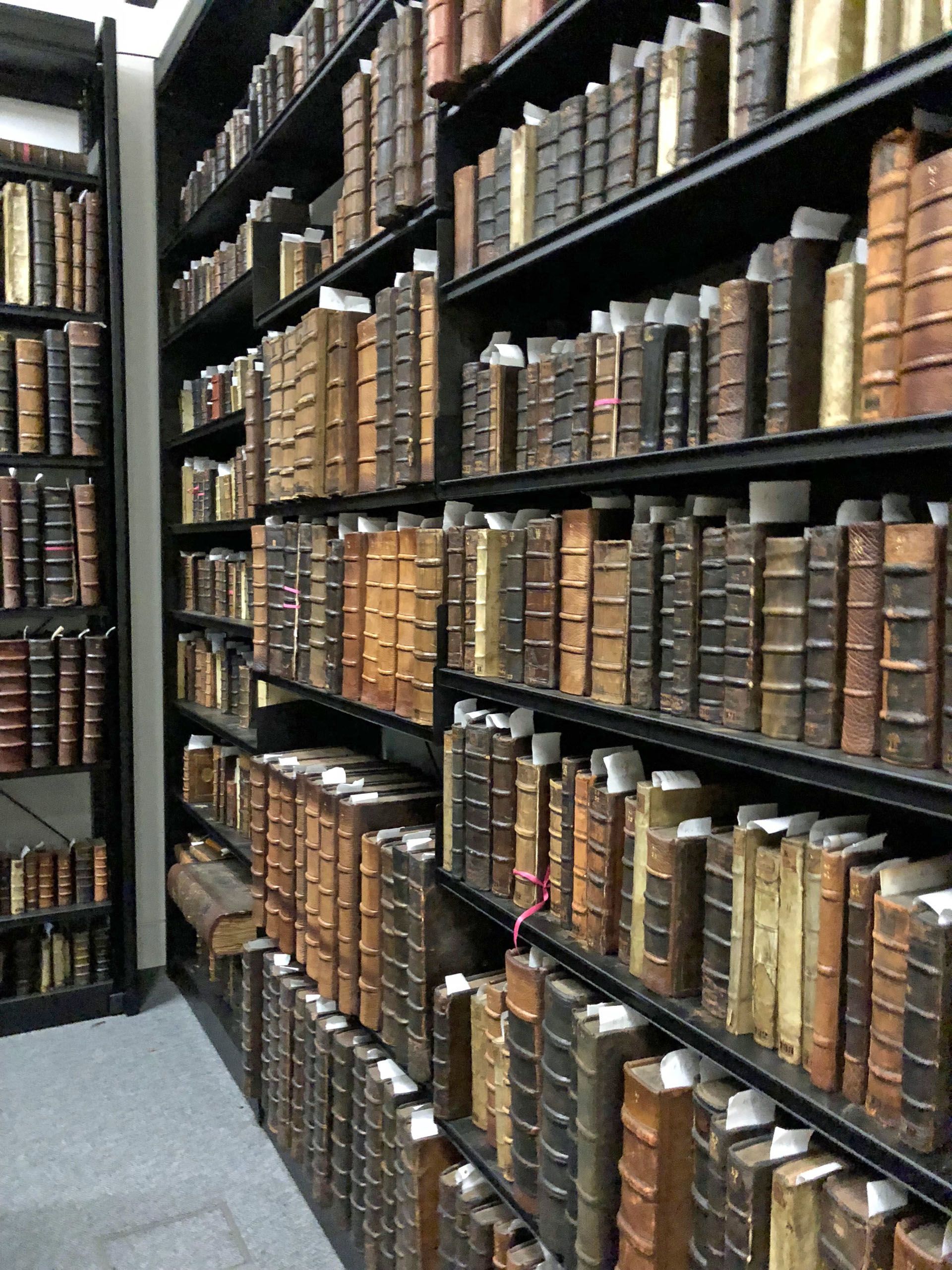 Old, leather-bound books on shelves.