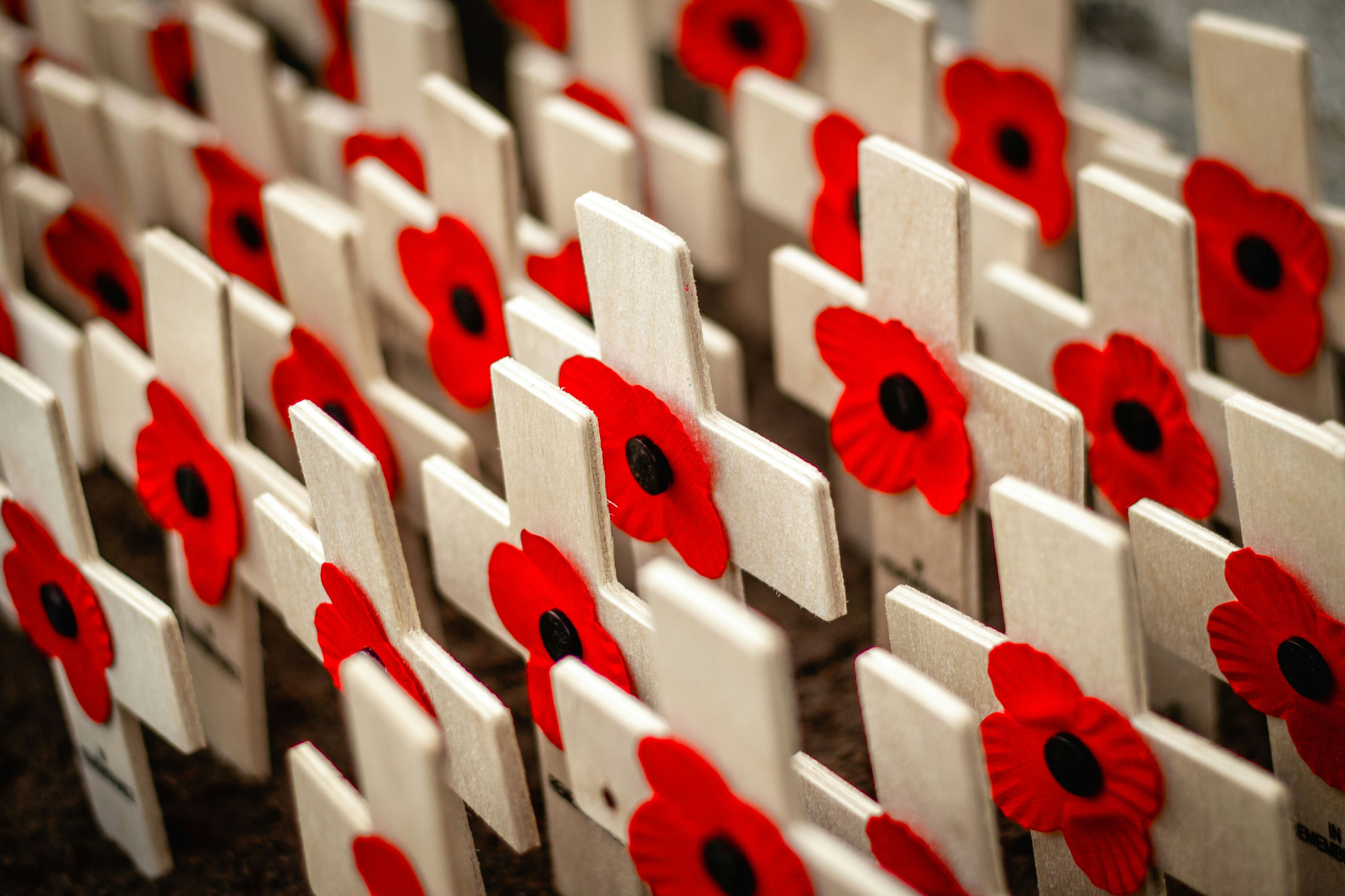 Commemorative poppies on little wooden crosses