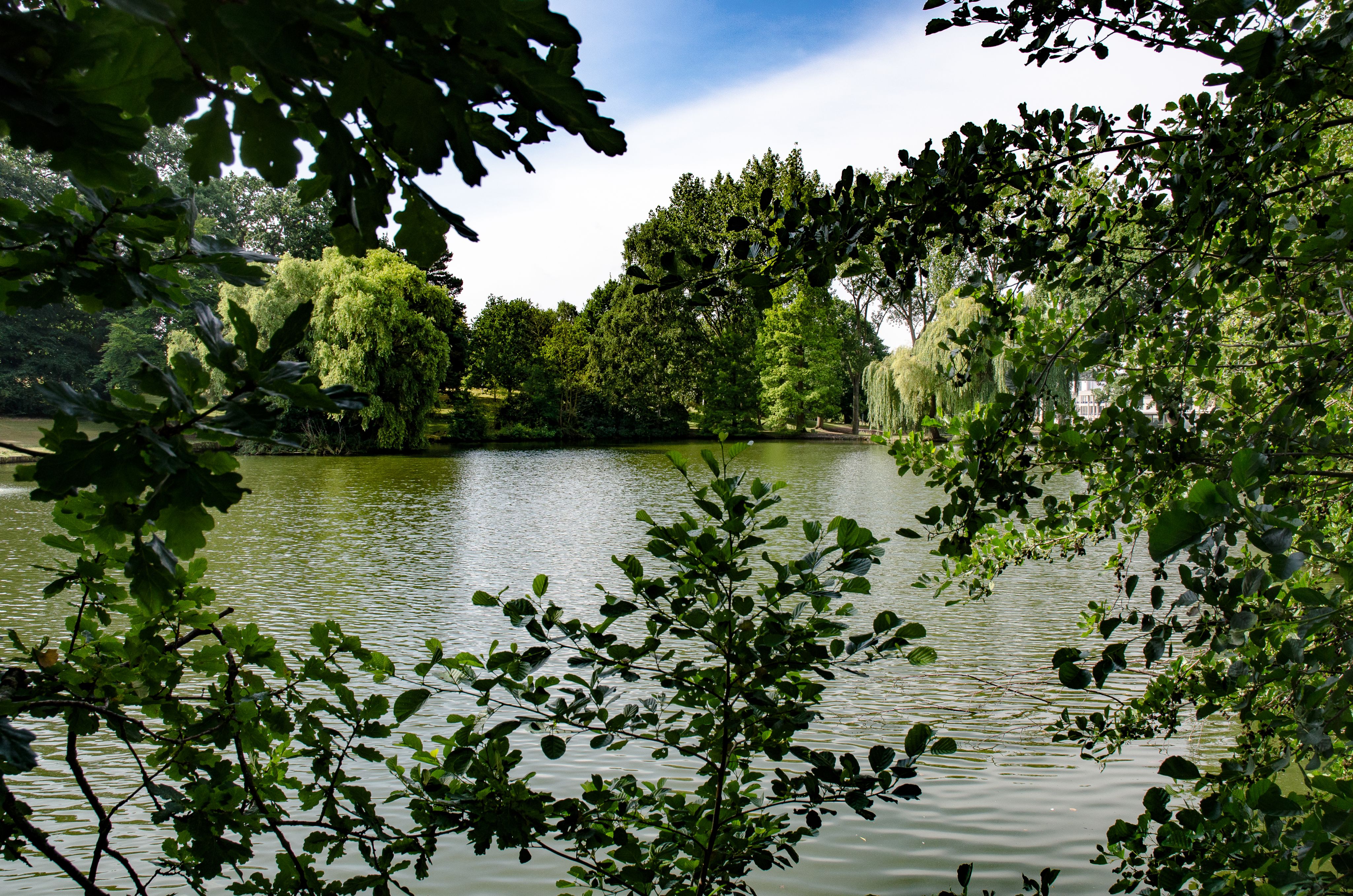 Screengrab from Click website